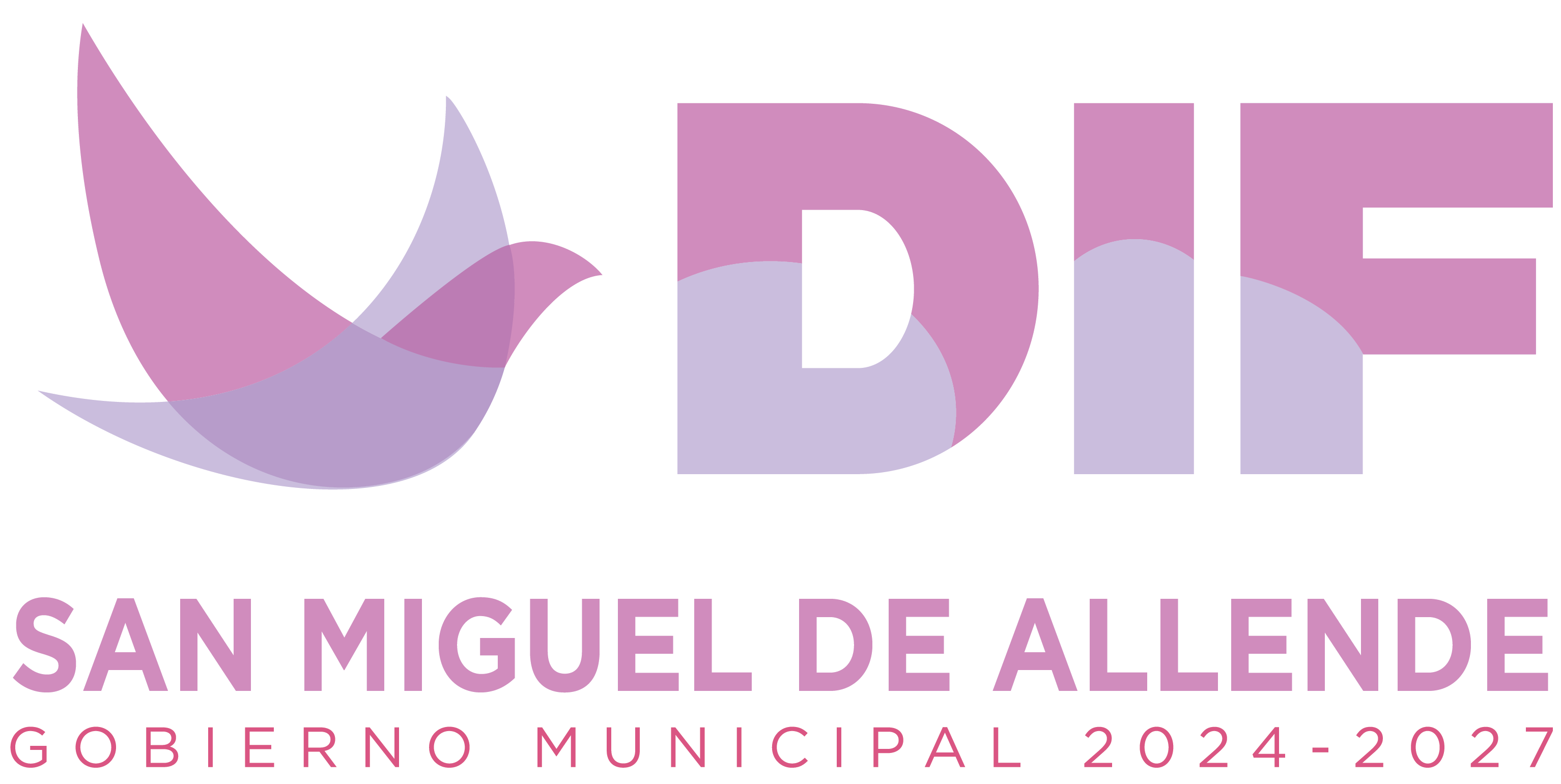 DIF San Miguel de Allende